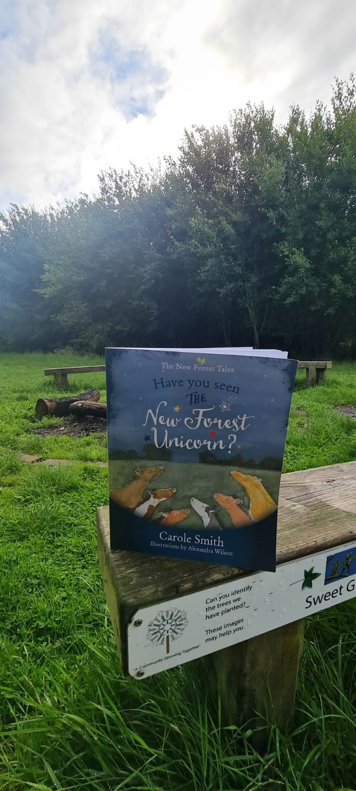 Have you seen the New Forest Unicorn? – Currently Reading